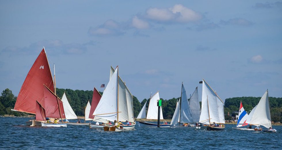 51607521526_c8402eca64_k-1024x548-1.jpg