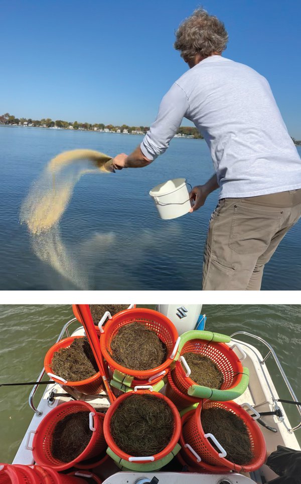 aquatic5.jpg