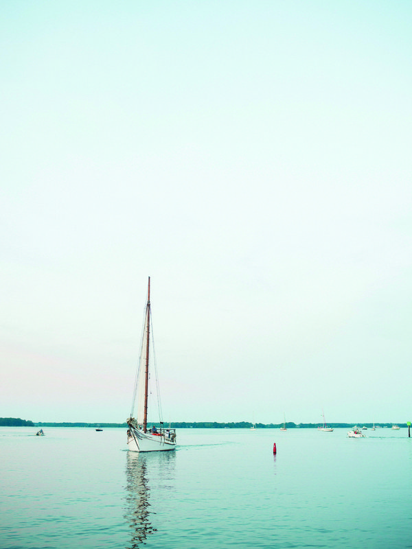 Banner 1-Chesapeake- Krista Jones.jpg
