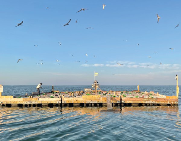 bay2.jpg