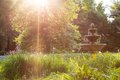 Brampton-May-21-Gardens-Misc-5 Resize.jpg