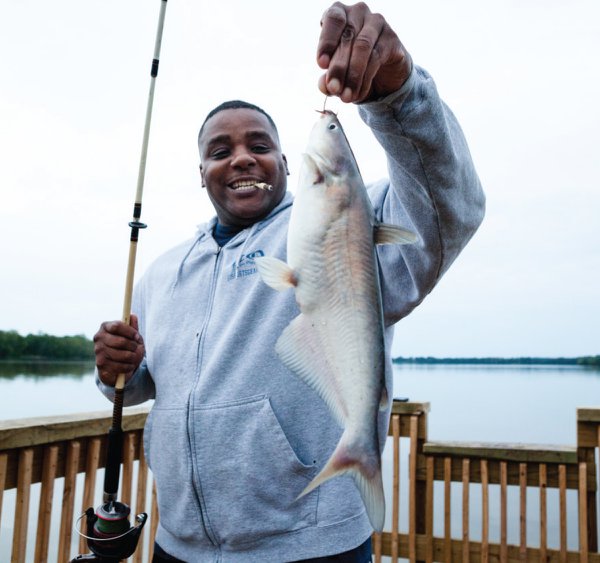 catfish4.jpg