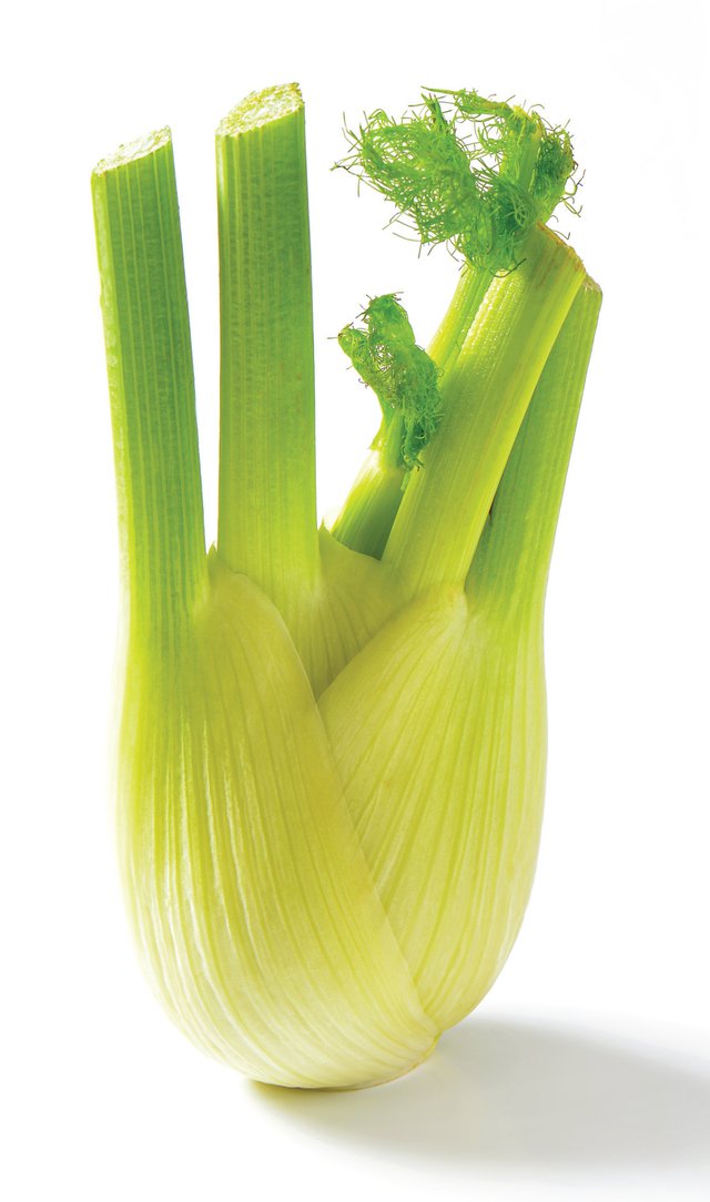 fennel1.jpg