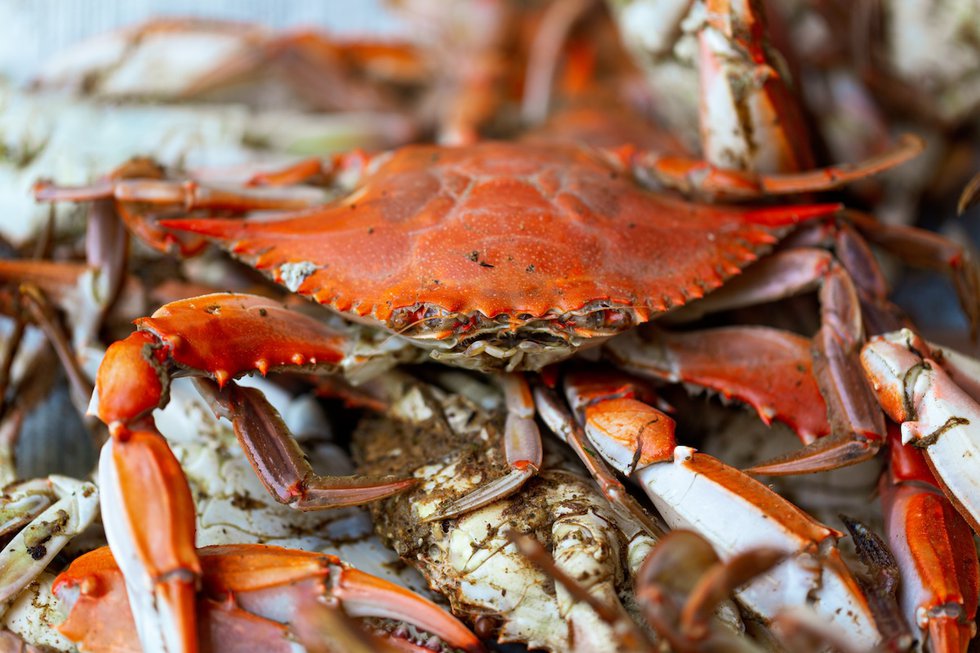 Fisherman's Crab Deck.jpg