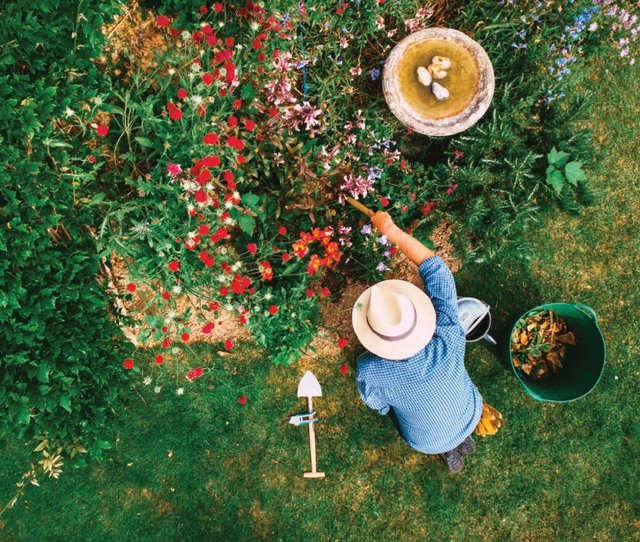 garden1.jpg