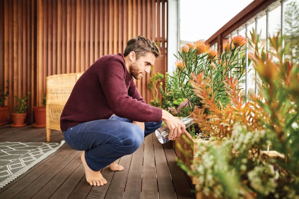 garden3.jpg
