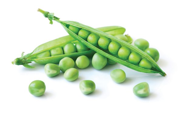 peas1.jpg