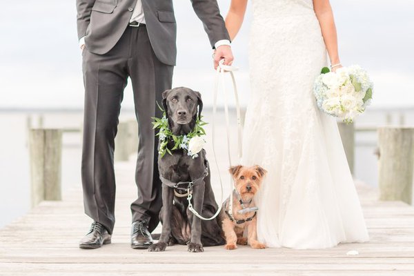 SCOTT+WEDDING+HIGHLIGHTS-372_herrington-on-the-bay-maryland-wedding-photographer-anna-grace-photography-photo.jpg